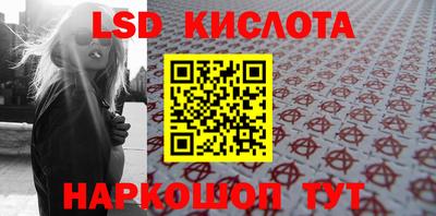 дмт Бердск