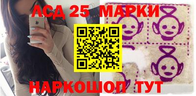 дмт Бердск