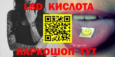 дмт Бердск