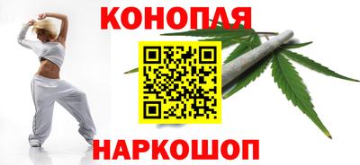дмт Бердск