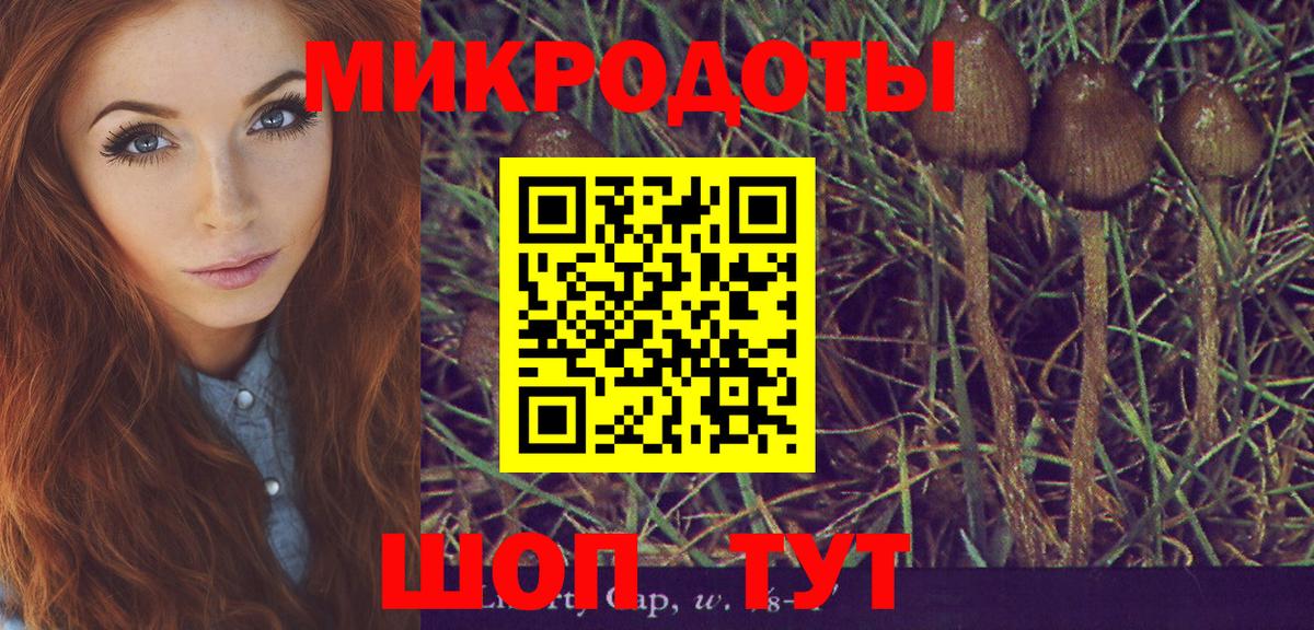 Псилоцибиновые грибы ЛСД  Псилоцибиновые грибы мухоморы  Вход с VPN  Богородицк 
